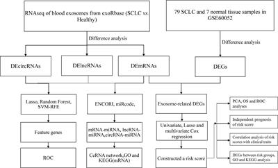 Identifying diagnostic markers and constructing a prognostic model for small-cell lung cancer based on blood exosome-related genes and machine-learning methods